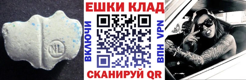 блэк спрут онион  Строитель  ЭКСТАЗИ Philipp Plein 