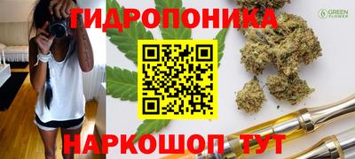 не бодяженный Кингисепп